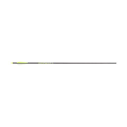 28" Knockdown Carbon Arrow12Pk Bulk