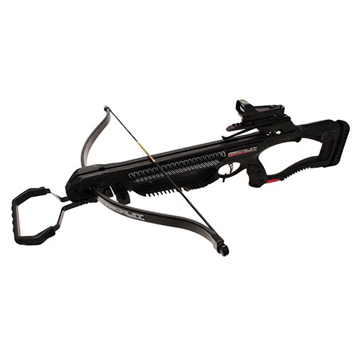 Recruit Recurve PkgQuiver3-20"Arrws245