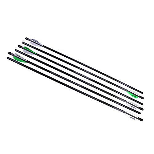 Airbow 250 Arrows 26" 375gr CarbonFiber/6