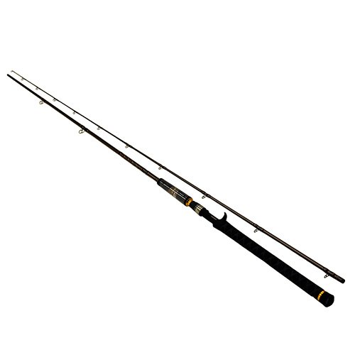 A92-9-6M AIR M 9'6" 2pc
