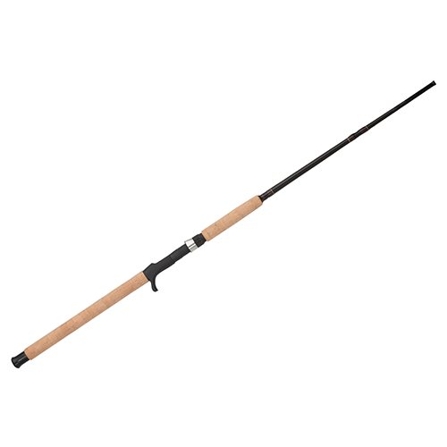 BCECAT661M BER C ECAT 6F6 M 17
