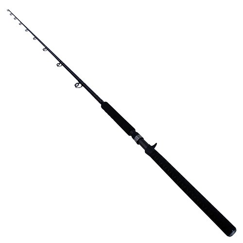 BCTECCAT701H BER C TECCAT 7F H 17