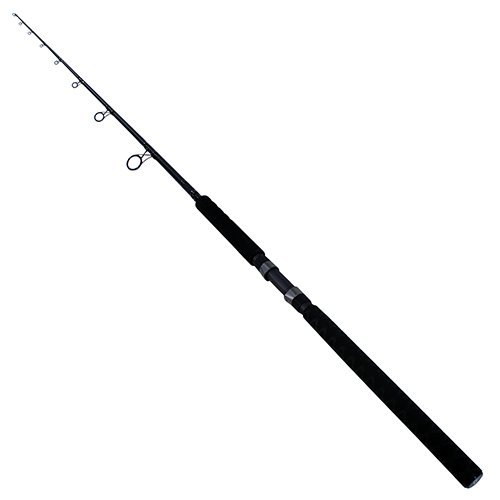 BSTECCAT701M BER S TECCAT 7F M 17
