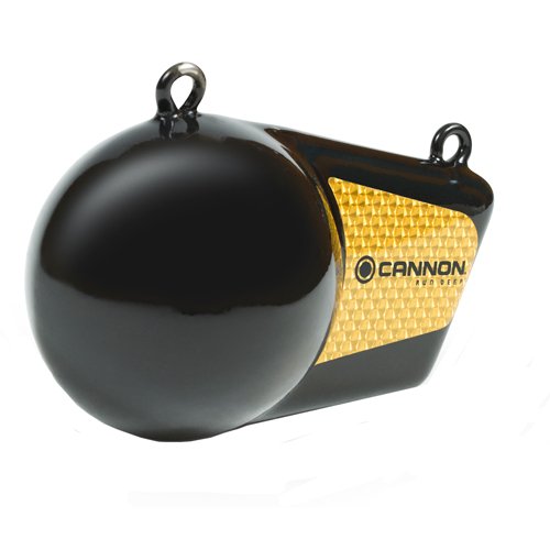 10 pound Flash weight