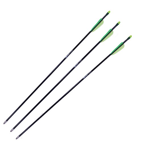 Youth Fiberglass Arrows /3