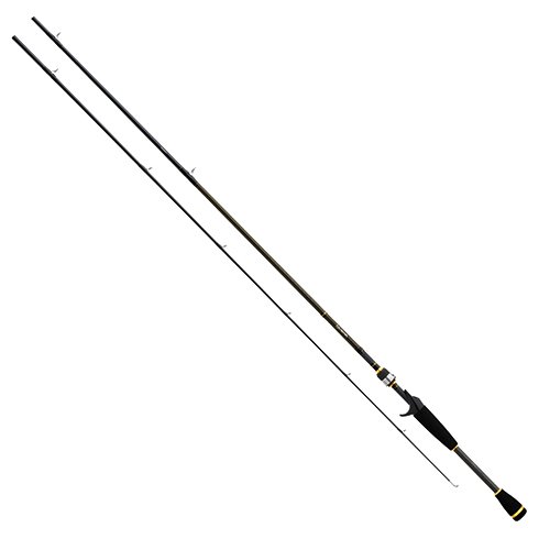 Aird-X 7'3" MH 1pc