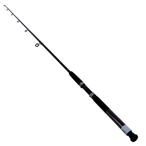 Beefstick-BT Saltwater Boat Spinning 6'