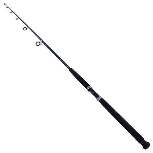 Beefstick-BT Saltwater Boat Spinning 7'