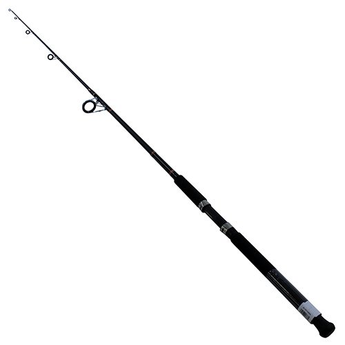 Beefstick-SF Surf Rods Spinning 7'