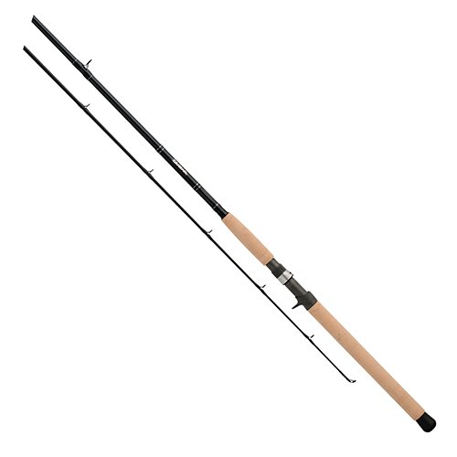DXS Salmon/Steelhead 10'6" ML 2pc