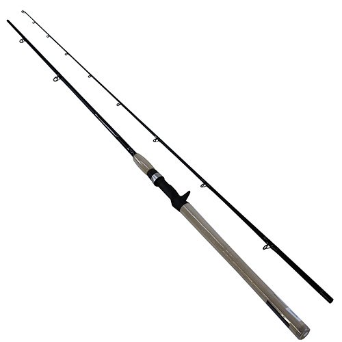 DXS Salmon/Steelhead 9' H 2pc
