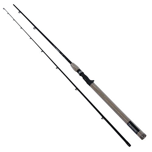 DXS Salmon/Steelhead 9' ML 2pc