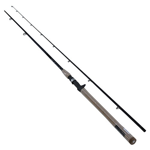 DXS Salmon/Steelhead 9'6" ML 2pc