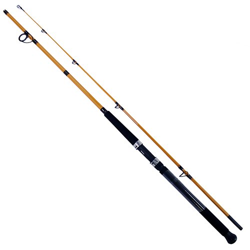 FT Surf 2pc LnWt 8-17