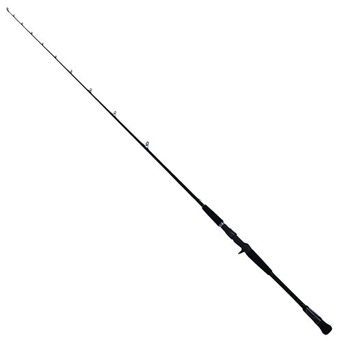Proteus Inshore 1pc LnWt 15-30/40-70Braid