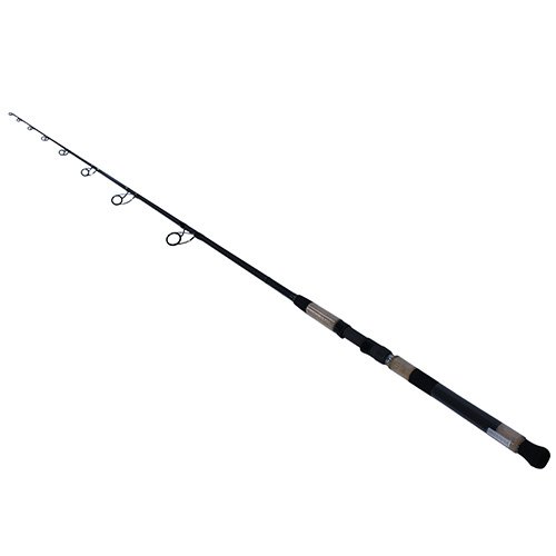 Proteus Inshore 1pc LnWt 40-80 BRAID