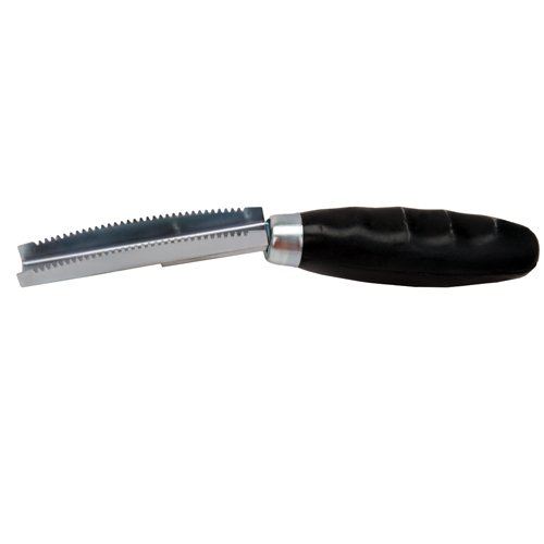 Rubber Handle Scaler 1pc