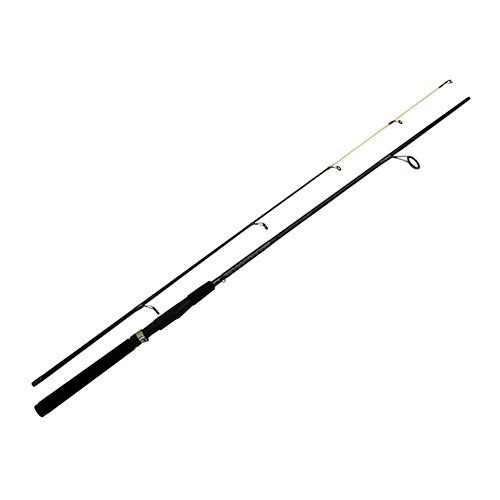 EC Raptor Spinning Rod 6'6" Light Blk