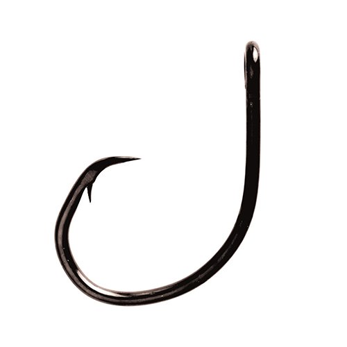 Lazer Circle Hook L2005BPGH6/0 5pcs