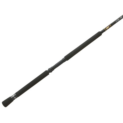 WMS70LWM Signature Rods IM6