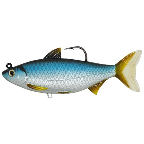 Golden Shiner6 1/2"SBMDSLVR/BLU11/0