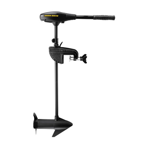 ENDURA MAX 55