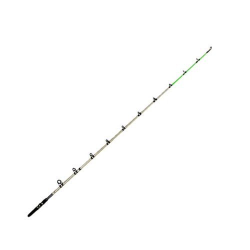 ClassicProGLT/Striper SpinRod 10' MH+ 2pc