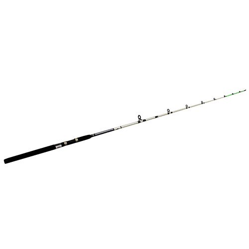ClassicProGLT/Striper Spin Rod 8' MH+ 2pc