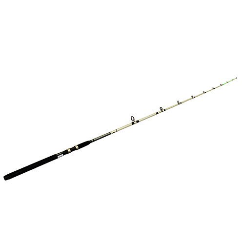 ClassicProGLT/Striper Spin Rod 9' MH+ 2pc