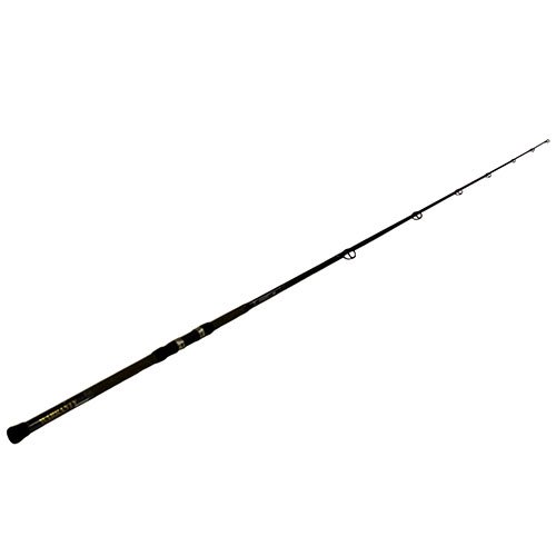 Longitude Surf Cast Rod 9' H 2pc