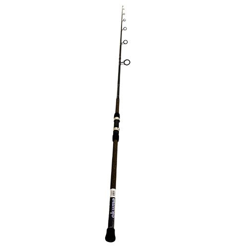 Longitude Surf Spin Rod 10' H 2pc