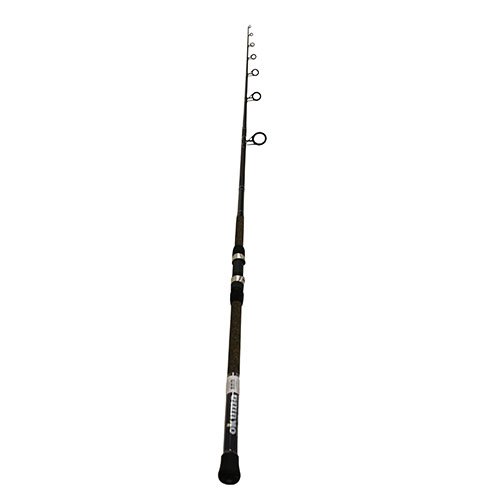 Longitude Surf Spin Rod 9' H 2pc
