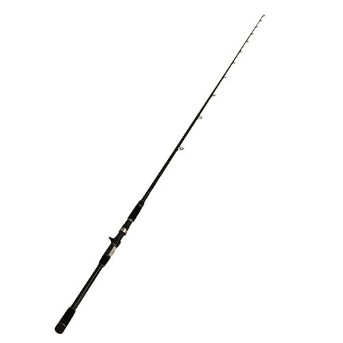 SCTi-C-801H SCT Inshore Rod