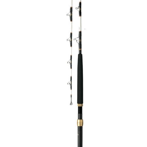 TS3080ARA56 TS S/U 5FT6 30 A/B A/R