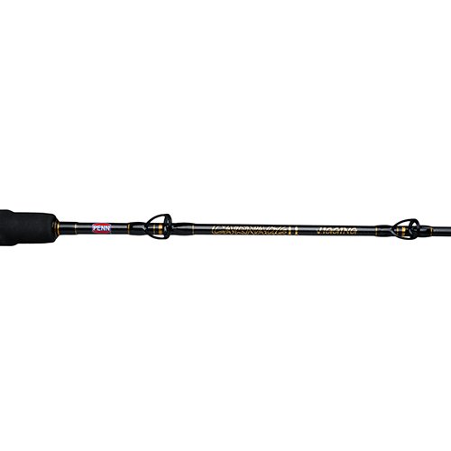 CARJGII3080S66  Carnage II M 6'6" 1pc