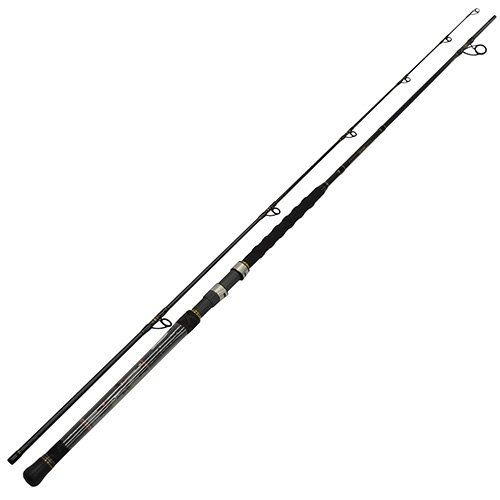 CARSFII820S90  Carnage II ML 9' 2pc