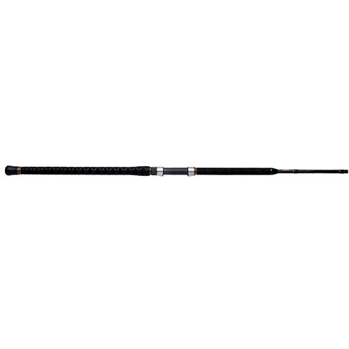 CARSFII1530S10  Carnage II M 10' 2pc