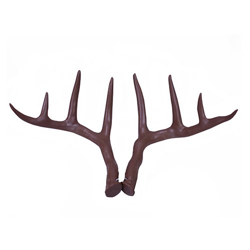 Fightin' Horns