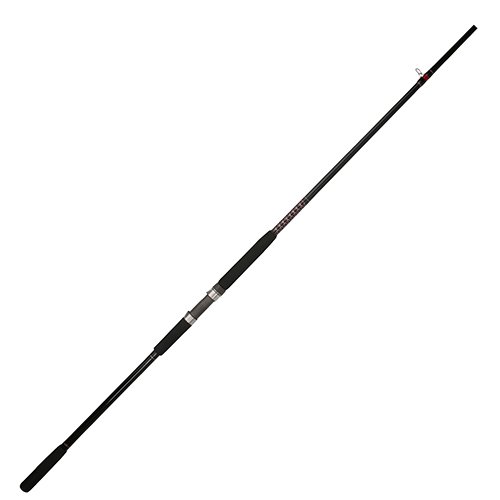 USBWBSF3060C102 US SF CA 10F 2PC 30-60LB