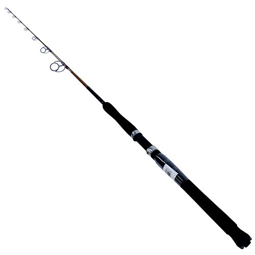 USTEJG50100S661 US JIG SP 6F6 50-100LB