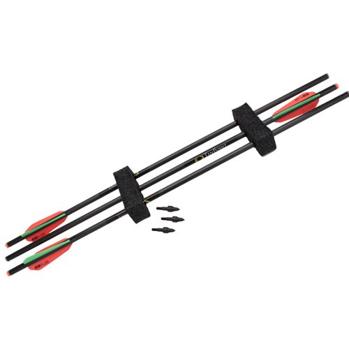 22" Carbon Pro-V Arrows 3/PK