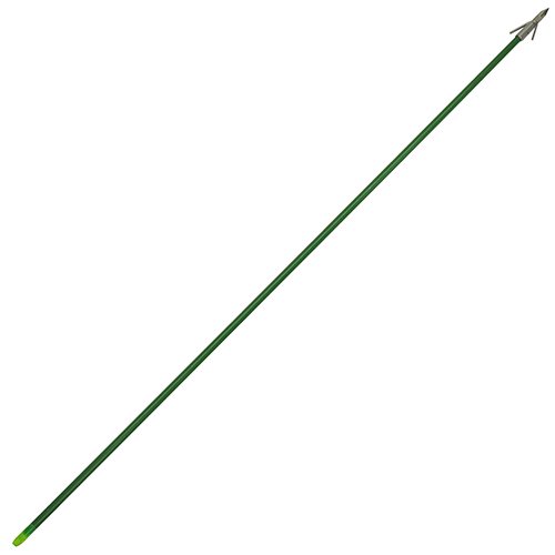 Arrow Fg Std Pnt