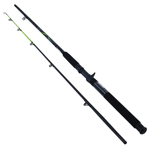 BIG CAT 8'0" 2PC MH CAST ROD