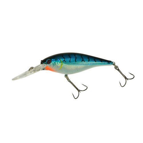 FFSH5M-BT FLCKR SHAD MED 5CM BLUE TIGER