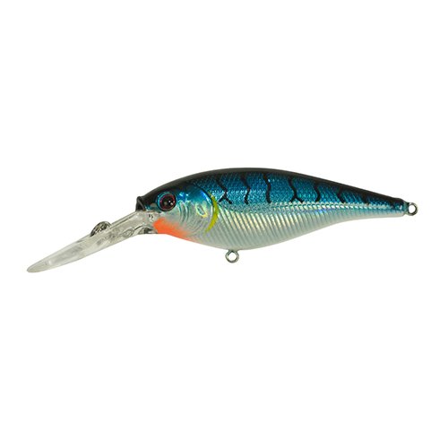 FFSH4M-BT FLCKR SHAD MED 4CM BLUE TIGER