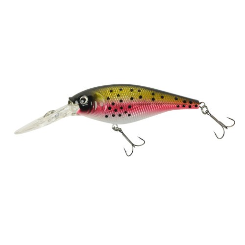 FFSH9M-RBT FLCKER SHD 9CM RAINBOW TROUT