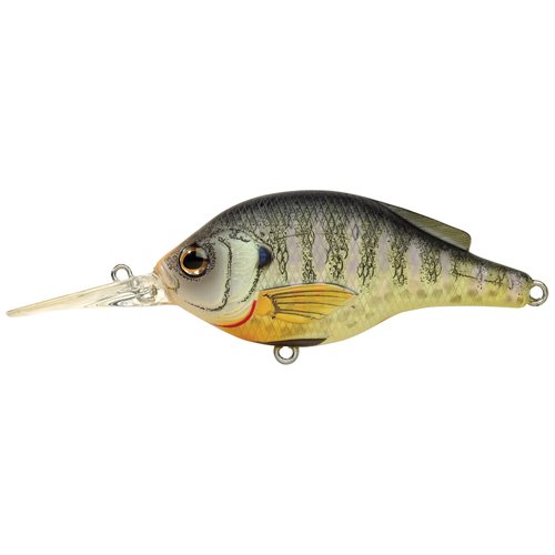 Bluegill FS Roundbillnatural/matte#6