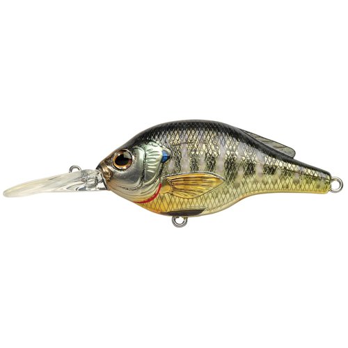 Bluegill FS Roundbillmetallic/gloss#4