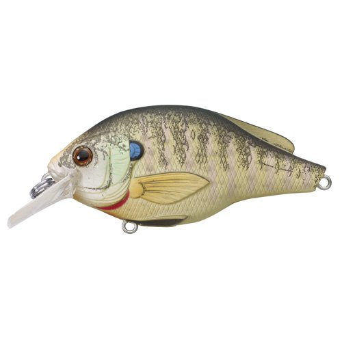 Bluegill FS Squarebillnatural/matte#6