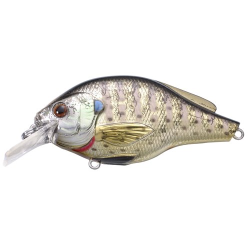 Bluegill FS Squarebillmetallic/gloss#6